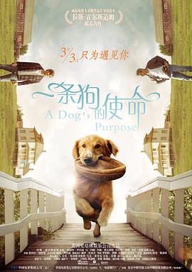 亚洲s色大片